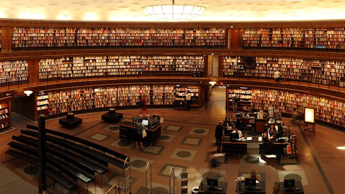 Action for the maintenance of public spaces near QMFs and residential areas in Gjilan.