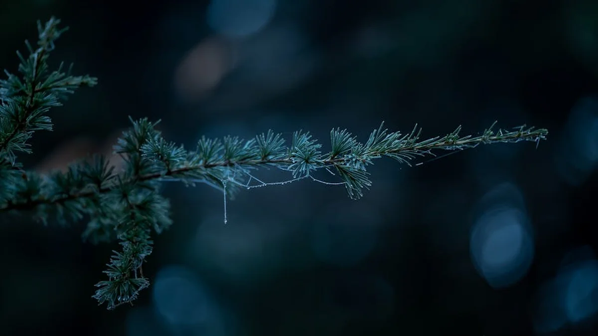 Rama stated: If Kosovo is threatened, then Albania is also threatened; Vučić’s delusion is the state of Kosovo.