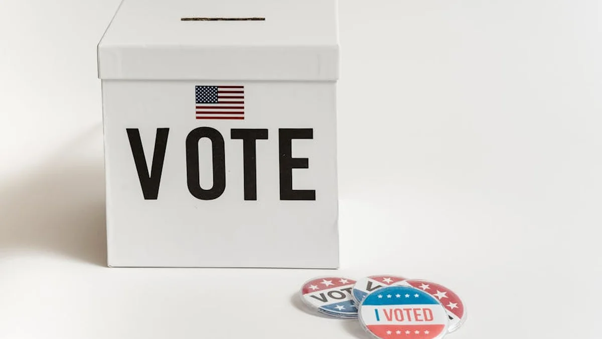 The Alternative Future Party, led by Behgjet Pacolli, is now mandated to complete its internal election process within a 45-day timeframe.