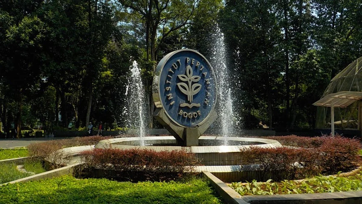 The BDI anticipates a significant price increase starting next Monday, and institutions should act promptly.