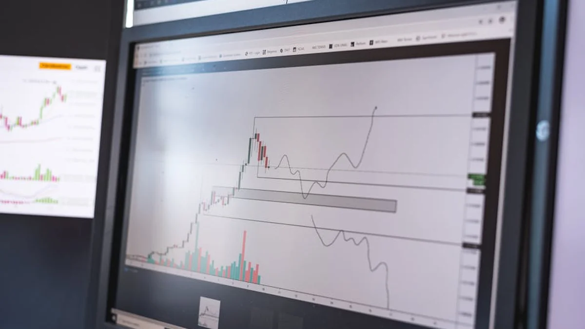 The inspection unit for monitoring the oil derivative market