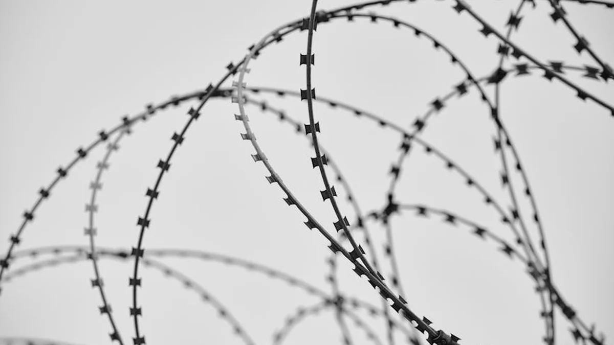 The prosecution is seeking pre-trial detention for the two individuals arrested in connection with fraud in Prizren.