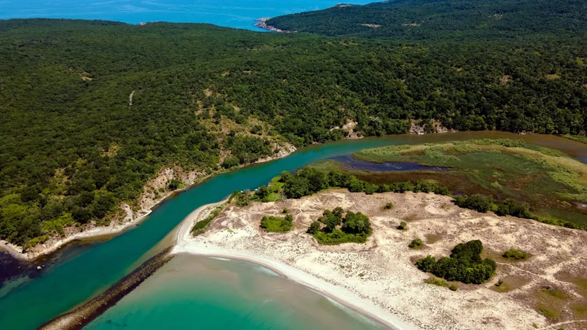 Bulgaria at a crossroads: Rumen Radev heading towards victory, what awaits North Macedonia?