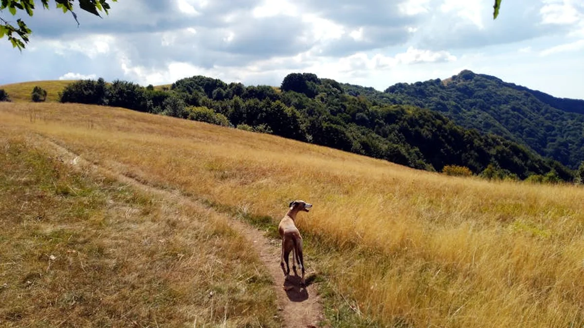 Elijona Binakaj me të tjera poza atraktive nga pushimet në Egjipt