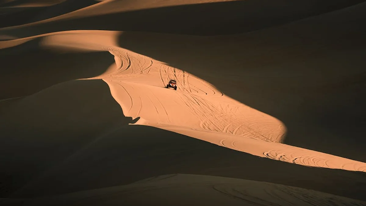 From bandit to parasite: The anatomy of the Albanian state.