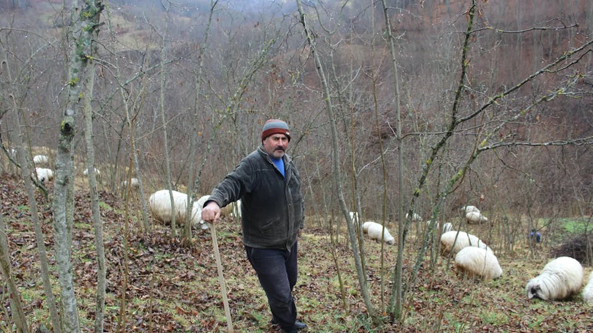 Ndalohet një shtetas kinez në Aeroportin e Shkupit, posedonte dokumente të falsifikuara