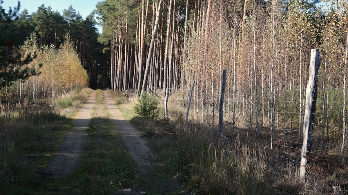 Nisin sot punimet e Kosova Finance Forum 2026!