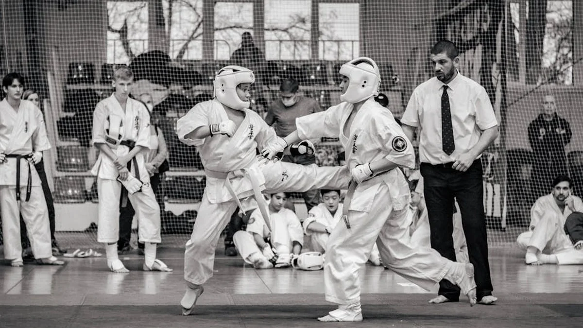 “Po e zgjedhim sot karate”, mesazhi i deputetit të VV-së kapet nga mediat