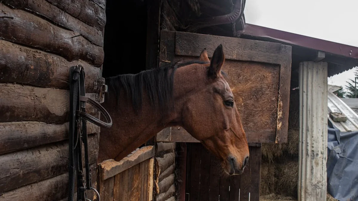 Stable weather conditions, weather forecast for Monday