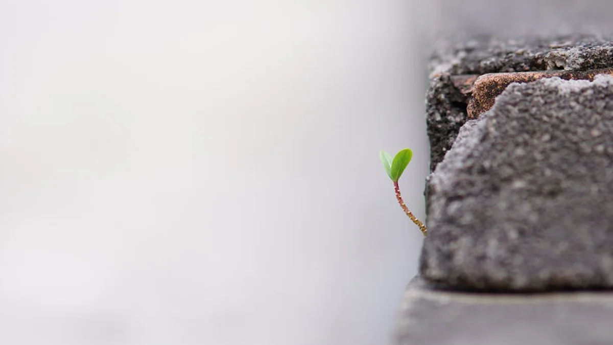 The European standard is not an option, it is a condition.