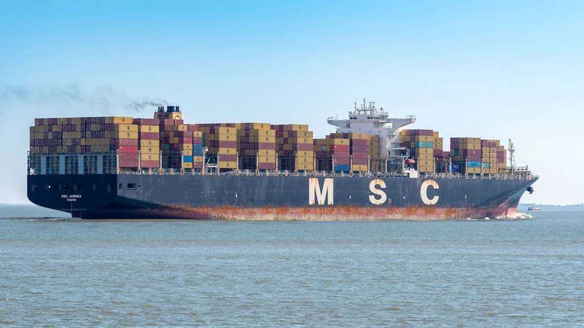 What is known about the container ships attacked by Iran?