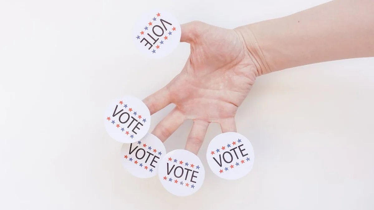 The government allocated over 10.8 million euros for the organization of the June 7th elections.