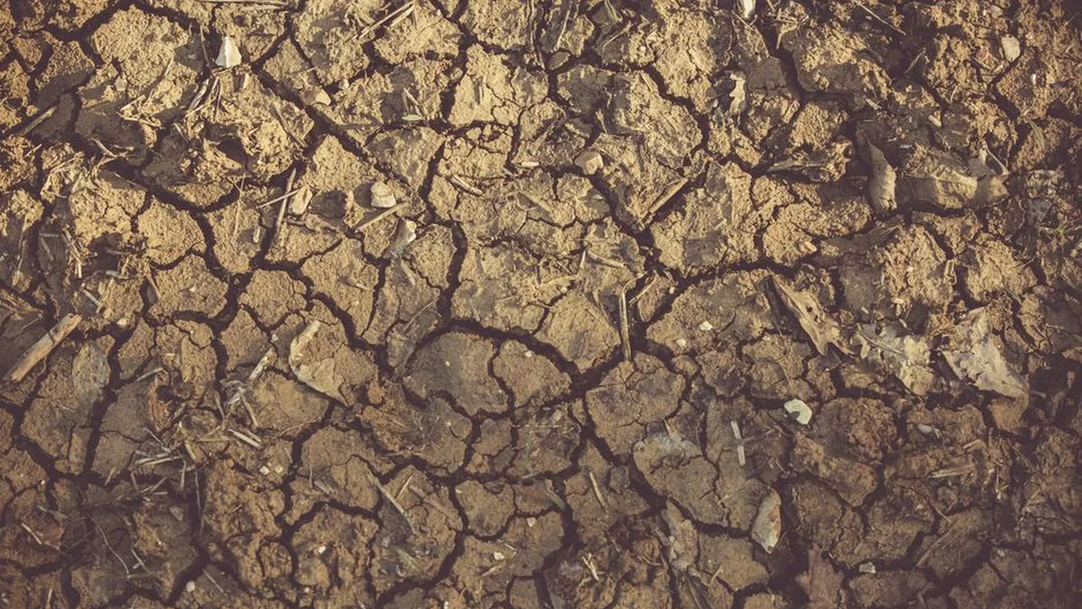 Climate Change Center: Macedonia faces increased risk from drought