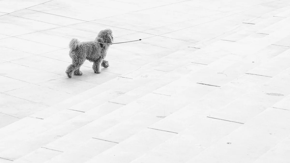 Five common reasons that lead to a separation
