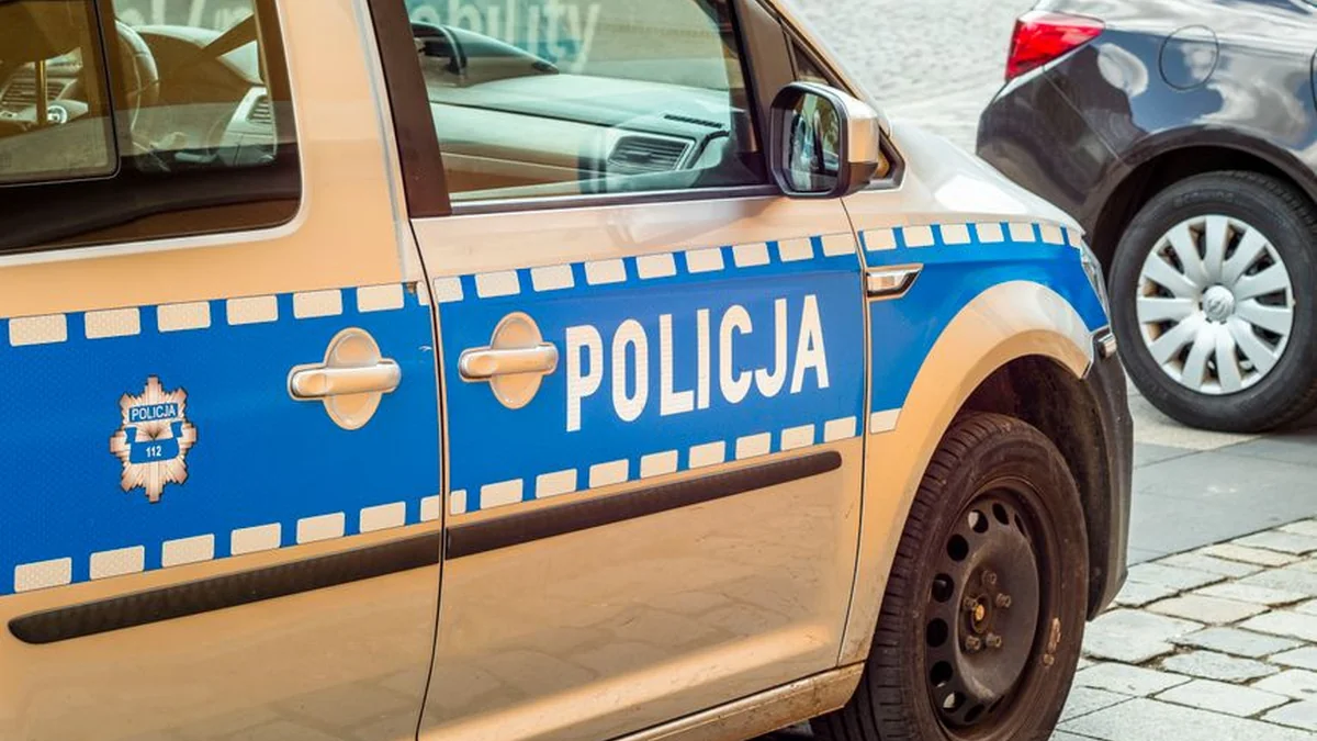 Police, in cooperation with the Prosecutor’s Office and the AKI, seize 60 kilograms of marijuana, and foreign nationals are also arrested.