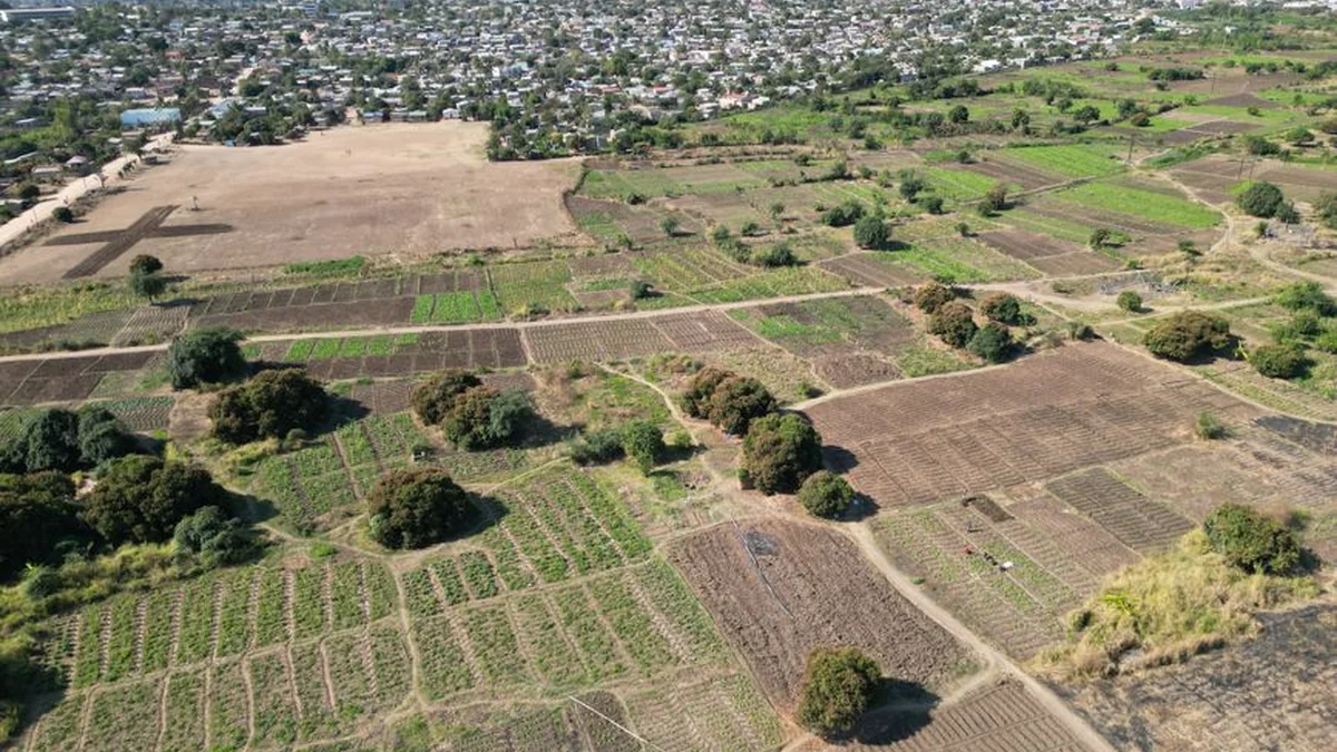 The Directorate of Agriculture in Rahovec visits a farmer in Fortesë, showcasing 12 hectares of agricultural crops.