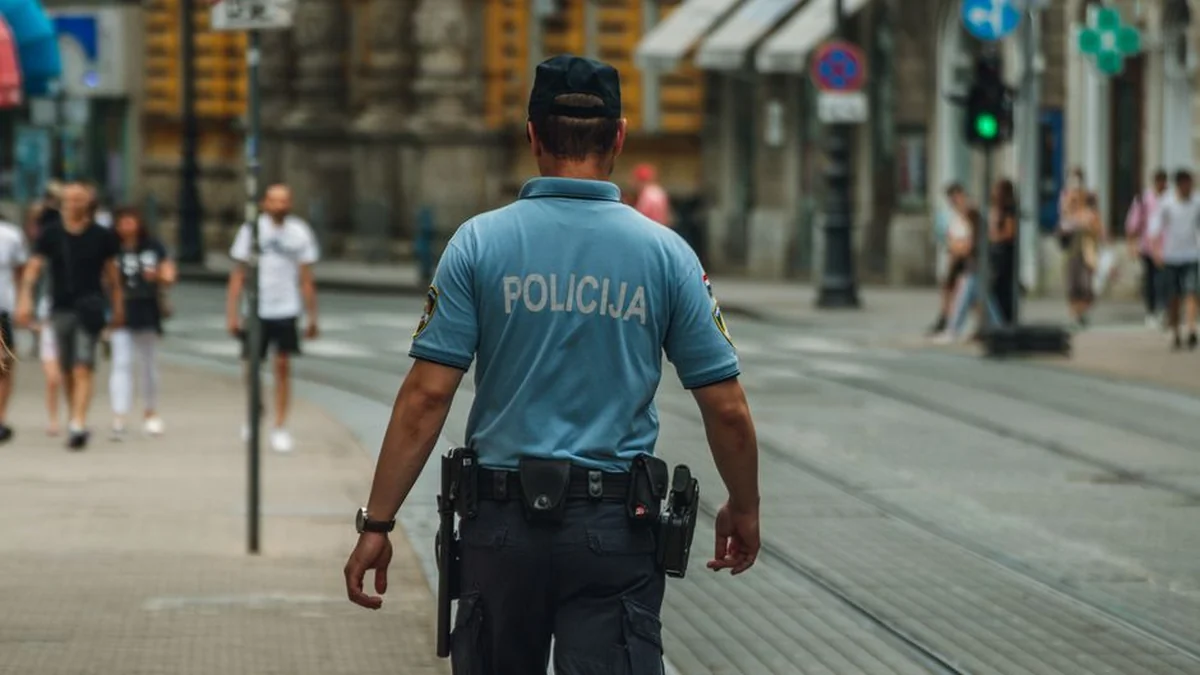 Extradited from Kosovo to Sweden, wanted on an international arrest warrant