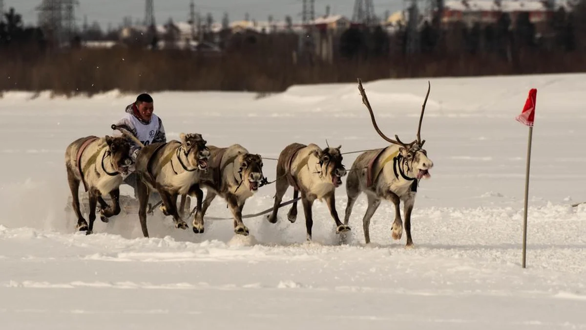 The Yamal Effect: An action during the World Cup final empties a company’s shelves