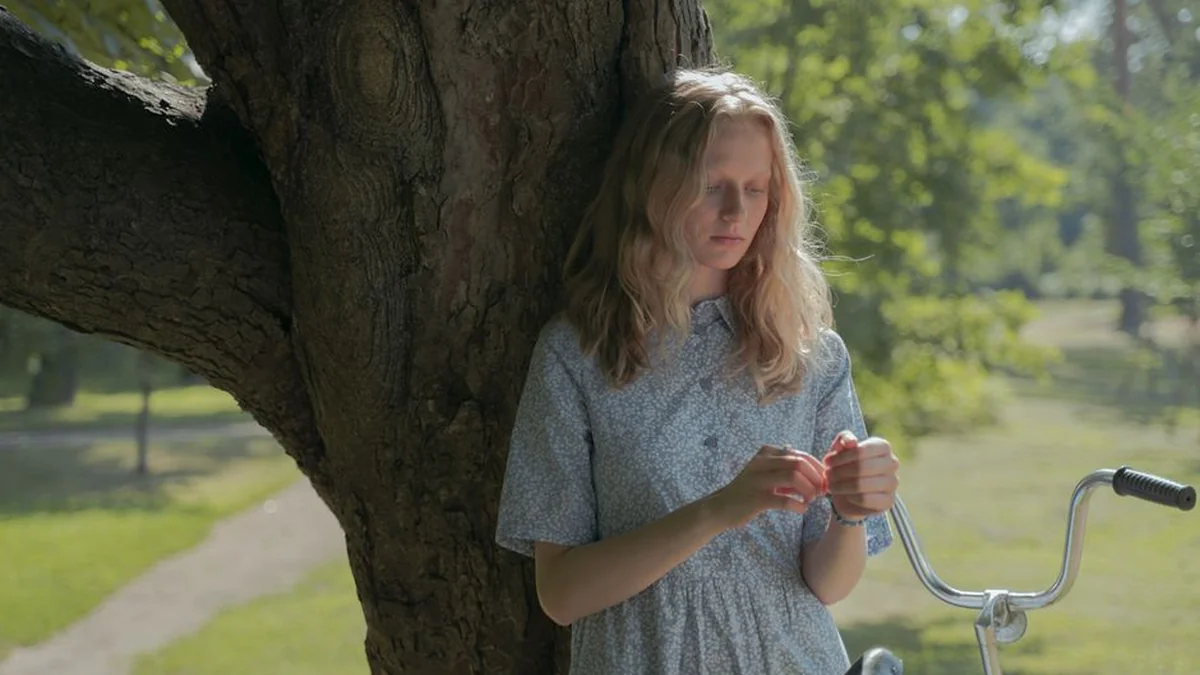 Summer picnic with apples like in the cult film “When Harry Met Sally”